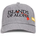 gorra-curva-gris-ajustable-islands-of-aloha-de-coastal