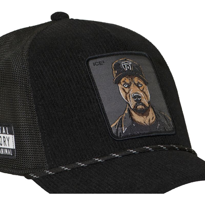 gorra-trucker-negra-bad-dog-hip-badb-hip-hop-dogz-de-capslab