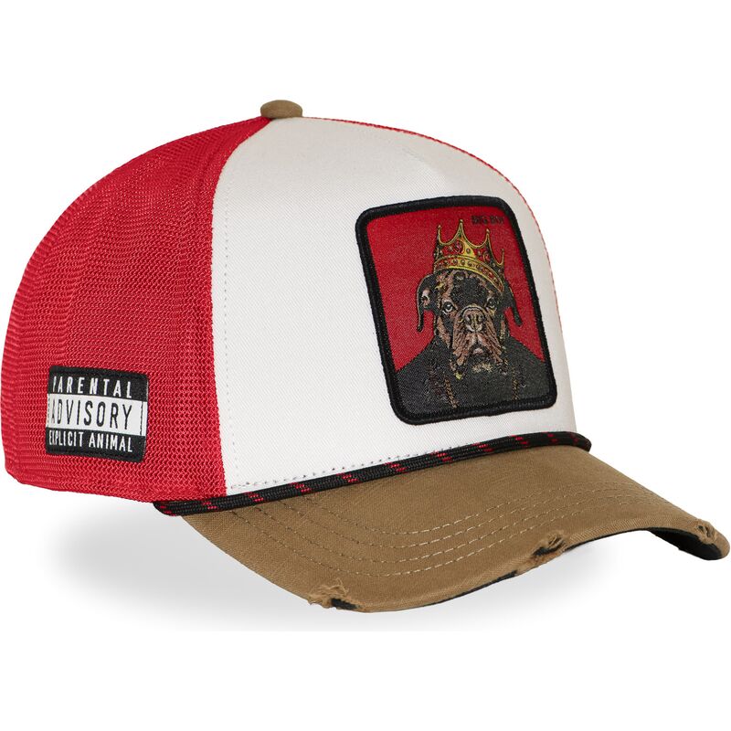 gorra-trucker-multicolor-big-boy-hip-bigb-hip-hop-dogz-de-capslab