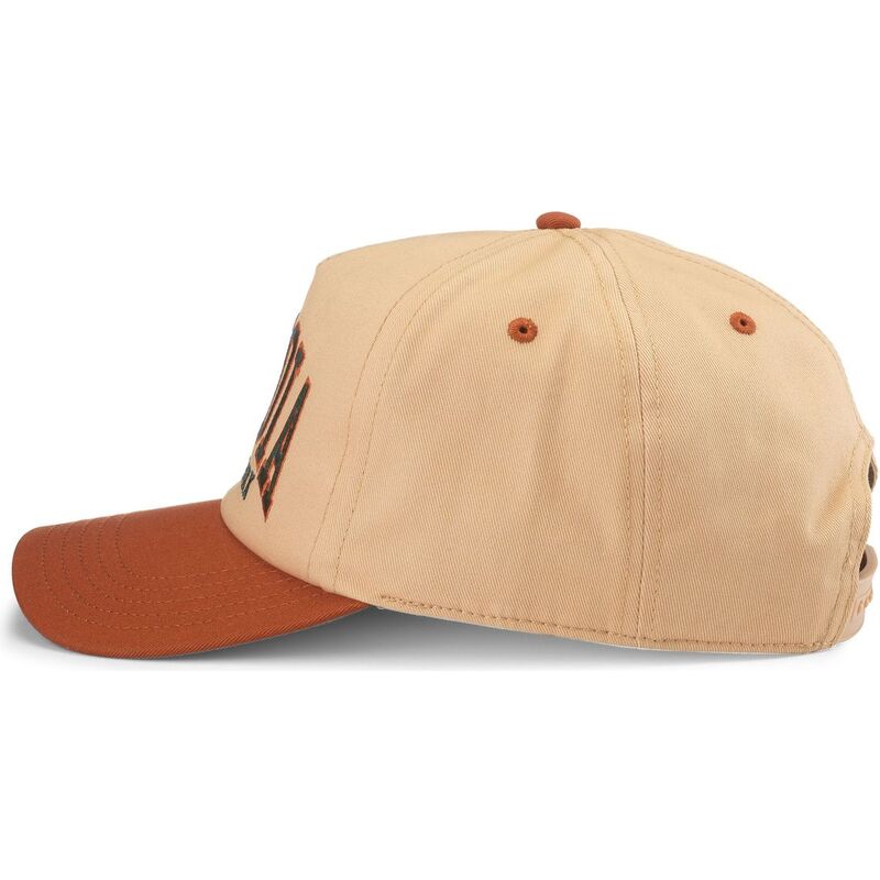 gorra-curva-marron-snapback-roscoe-de-sequoia-national-park-de-american-needle