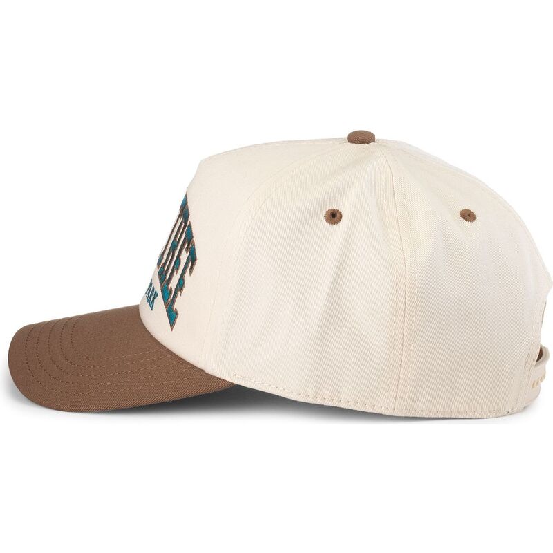 gorra-curva-marron-snapback-roscoe-de-joshua-tree-national-park-de-american-needle