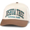 gorra-curva-marron-snapback-roscoe-de-joshua-tree-national-park-de-american-needle