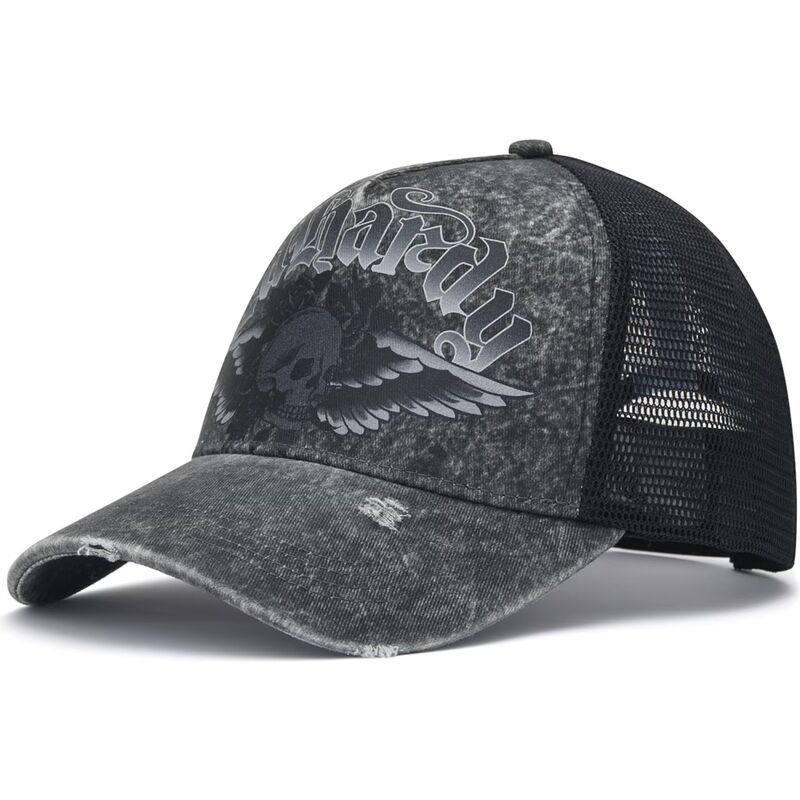 gorra-trucker-gris-flaming-gothic-skull-washed-de-ed-hardy